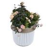 Wholesale White Supplier Flowe