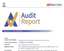 BV Inspection Report | Third-P