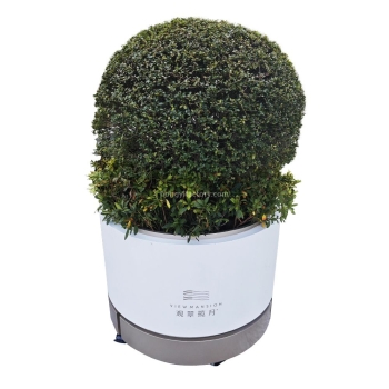 Galvanized Steel Metal Garden Stainless